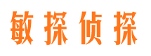 兴隆台市侦探公司